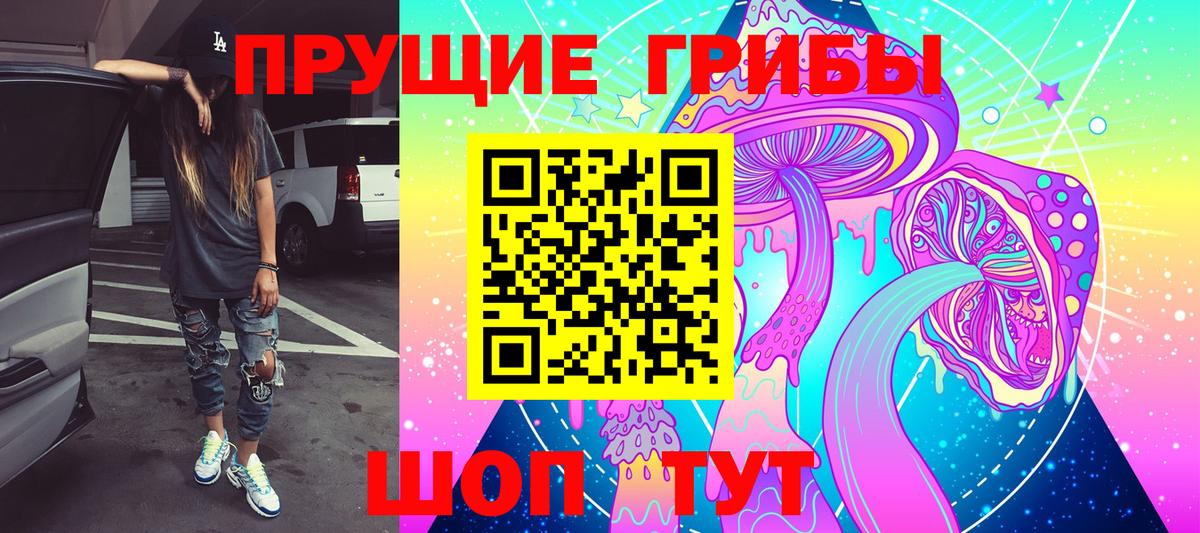 Галлюциногенные грибы Psilocybe  Псилоцибиновые грибы Magic Shrooms  Вход с VPN  Сальск 